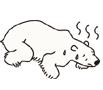 white bear.JPG
